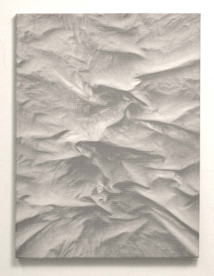 Bonnie Maygarden, Grid I, 2013, enamel on nylon, 24 x 18 inches Bonnie Maygarden, Grid I, 2013, enamel on nylon, 24 x 18 inches